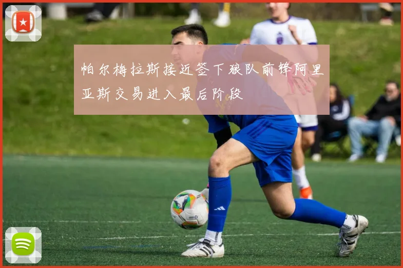 帕尔梅拉斯接近签下狼队前锋阿里亚斯交易进入最后阶段