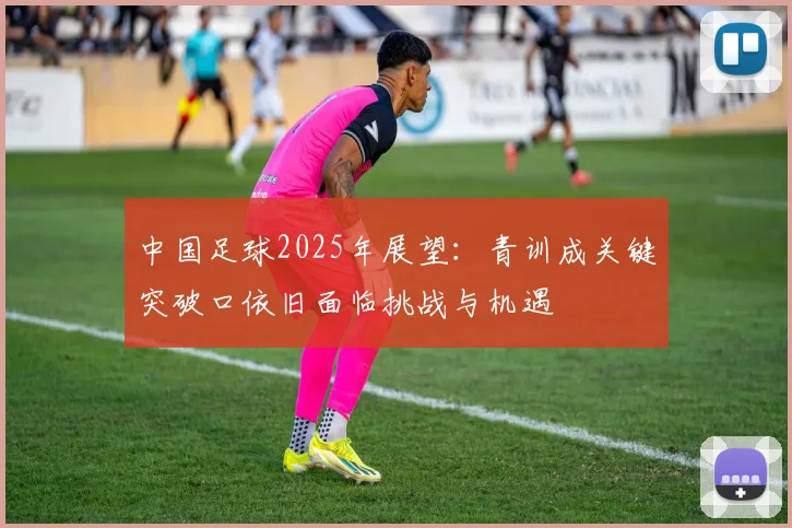 中国足球2025年展望：青训成关键突破口依旧面临挑战与机遇