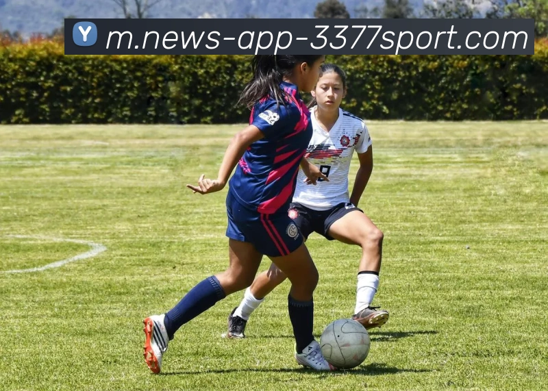 App Interface Preview