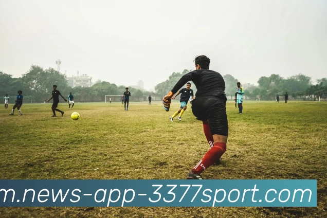 3377体育APP 封面图